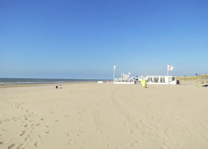 Cosy apartment in Noordwijk aan Zee with balcony